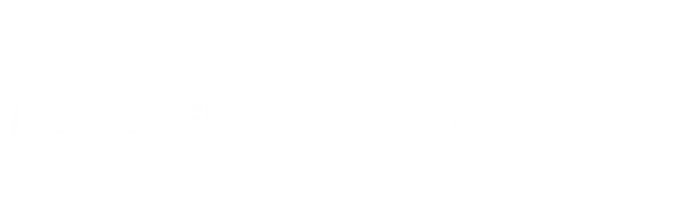 experienced cleaners